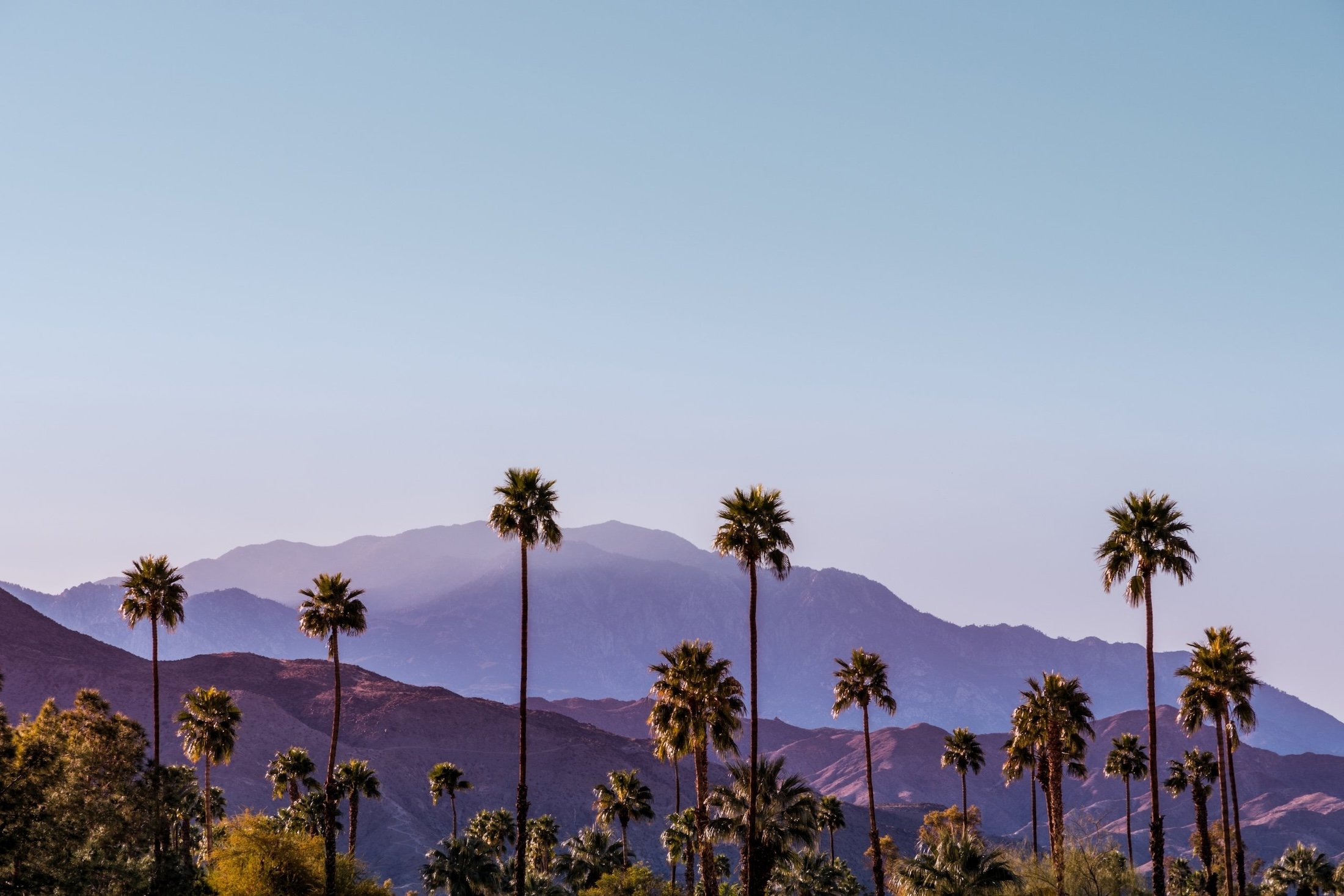 Palm trees and mountains in California.